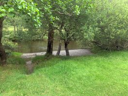 Nature field
