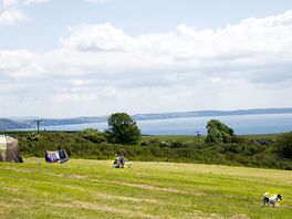 Well-kept pitches with sea views