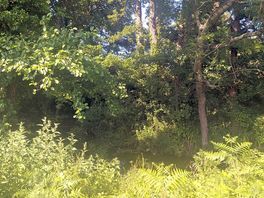 Stream