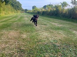 Making use of the off lead area