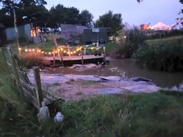 Duck pond