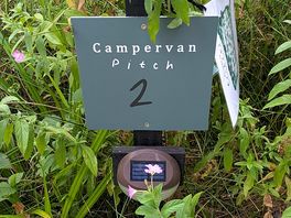 4 immaculate campervan pitches!