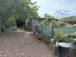The area