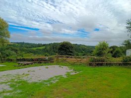 View from the site