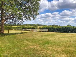 Grass pitches