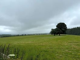 Views from the entrance of the site