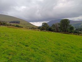 Top of hill