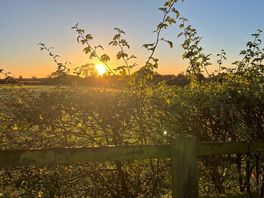 Autumn sunrise over the site