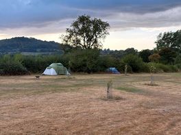 Lovely pitches!