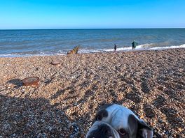Winchelsea beach