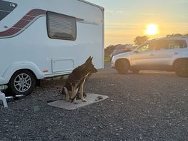Nice relaxed sunset