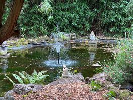 Japanese garden