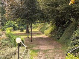 Pitches among the trees