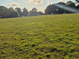 Main field, lots of space