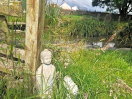 Budha by the pond