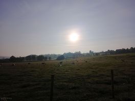 Lovely sunrise