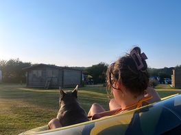Bliss