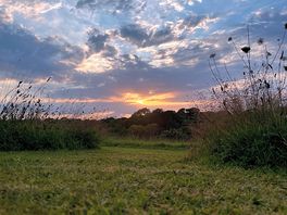 Scenery