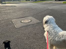 Assessing the situation