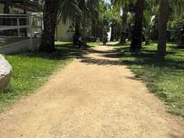 Camino