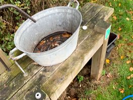 Filthy washing up bowl