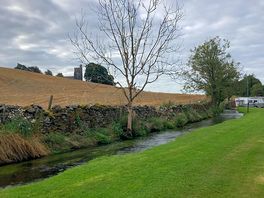 Site stream