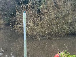 Picture of kingfisher