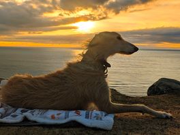 One of many sunsets