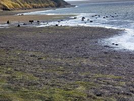 Opposite view along east fleet
