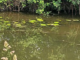 Lovely canal walks