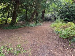 Walk