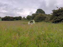 Our pitch!