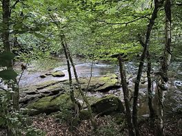 Beautiful river