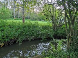 Stream through the fields