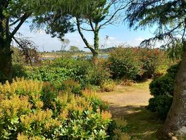 View from the garden