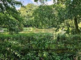 Walk around the lakes