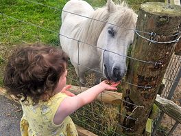 Fantastic petting farm on site