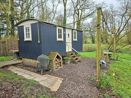 The hut