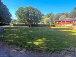 Play field