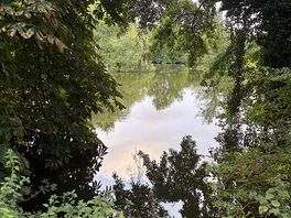 Tranquil lake