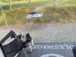 Enjoying a bbq