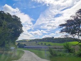View away from camp entrance.
