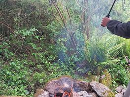 Fire in thecrain