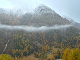 Local view
