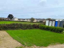 In full sun with hedges on three sides