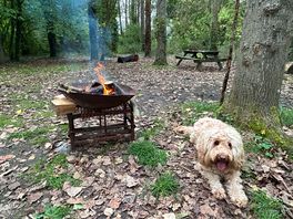 Fire pit