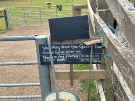 Entry to goats pony and sheep
