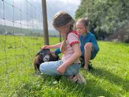 Friendly animals