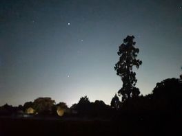 Night
