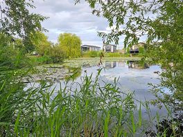 Teich